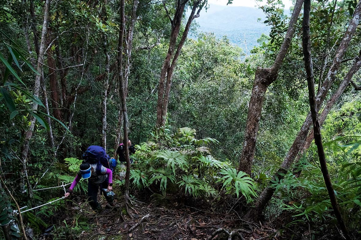 Magnificent Maliau