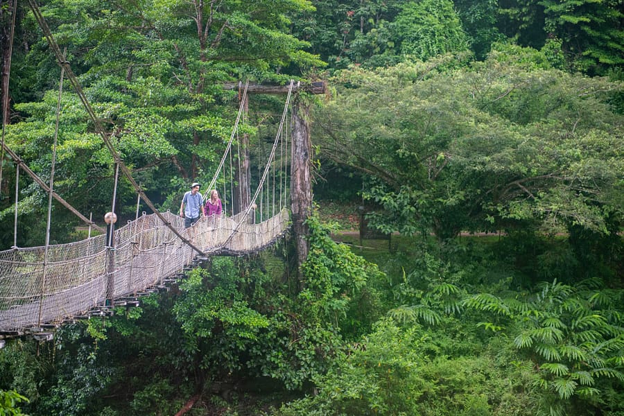 jungle trekking danum valley field centre