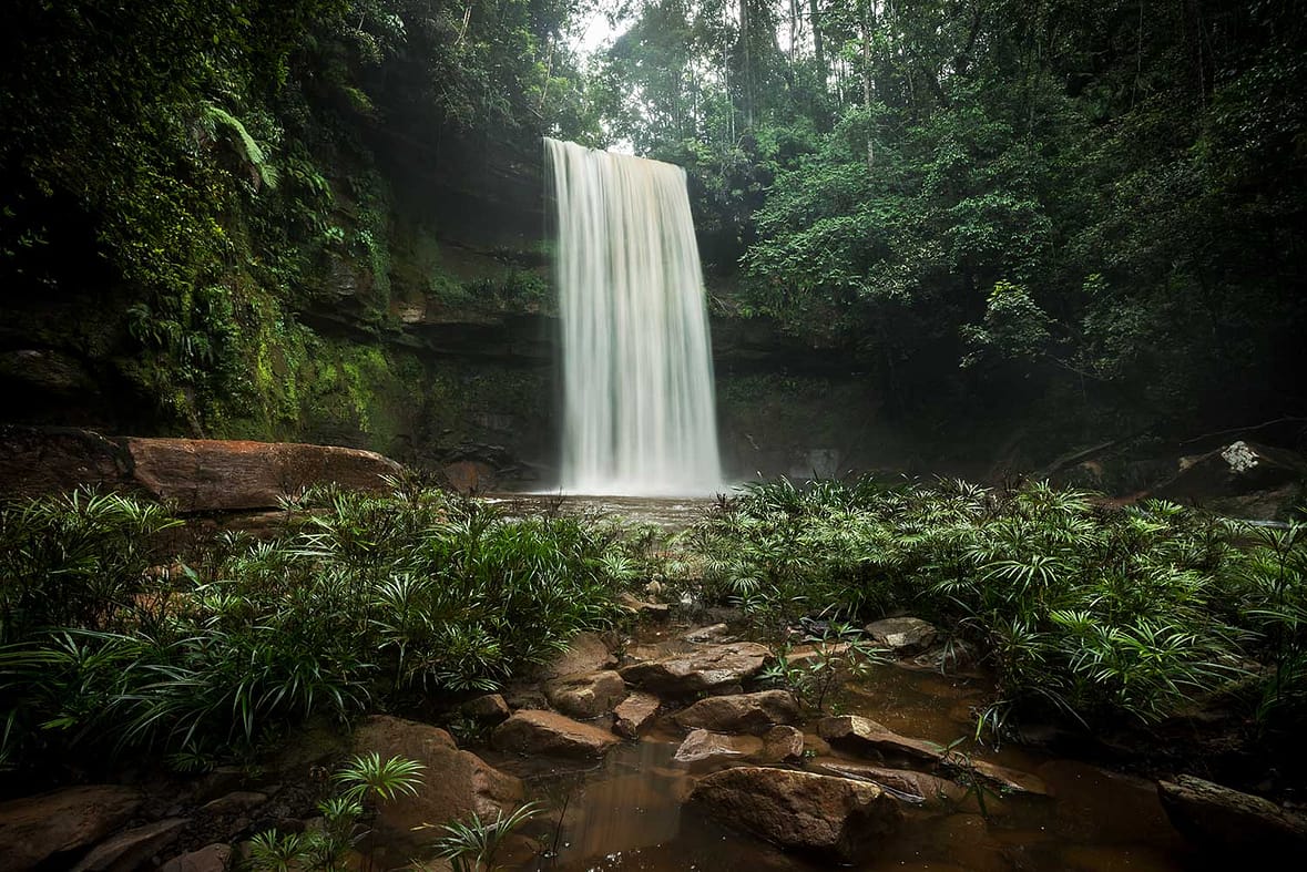 Magnificent Maliau Fowzi Falls