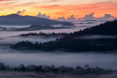 Nature Wonders to watch at home