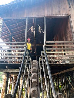 Rainforest World Music Festival 2019 Sticky Rice Travel