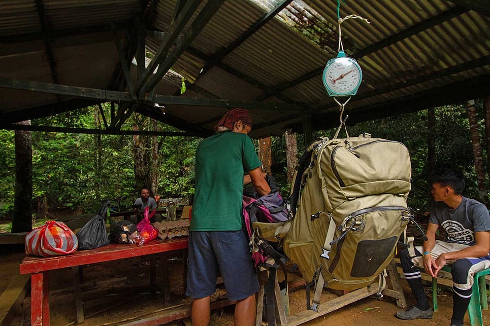 Agathis Camp