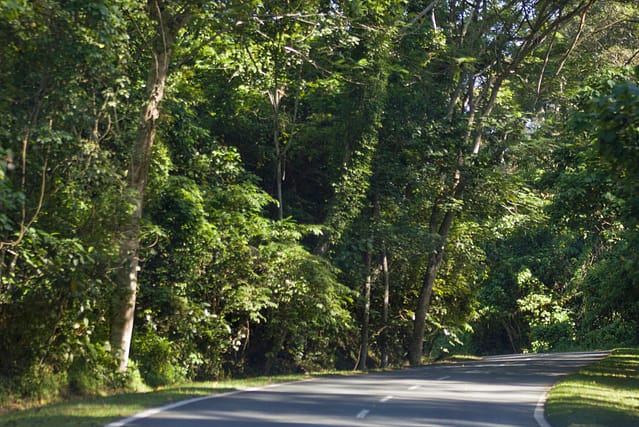 Camping in an Ancient Rainforest at Danum Valley