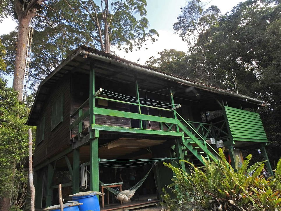 Nepenthes Camp