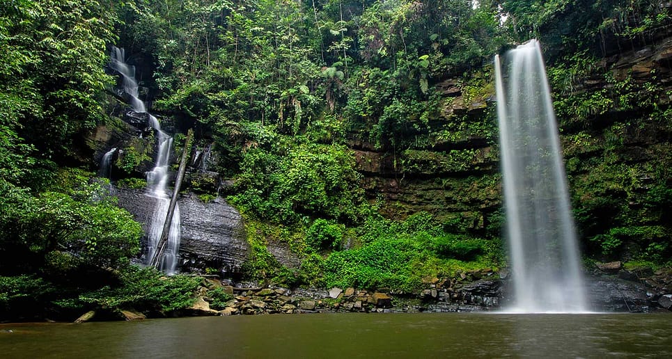Ginseng Falls