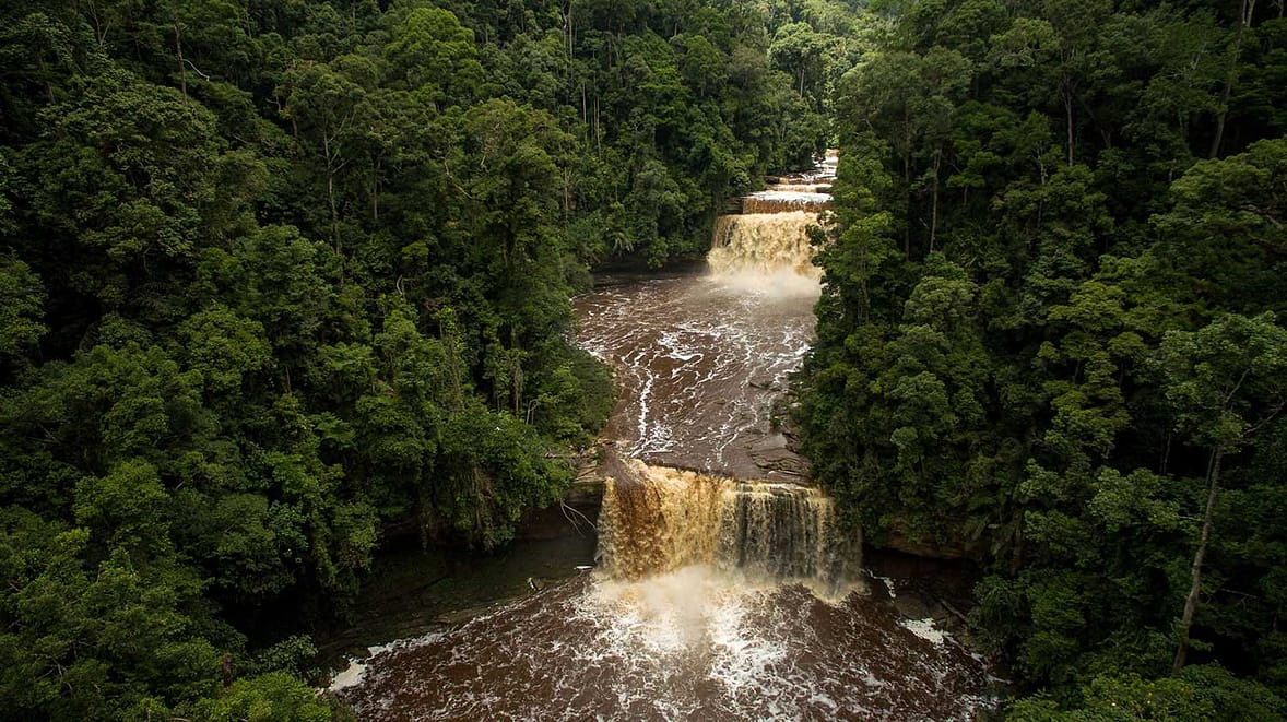 Magnificent Maliau