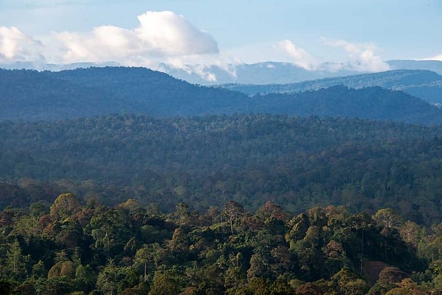 Magnificent Maliau