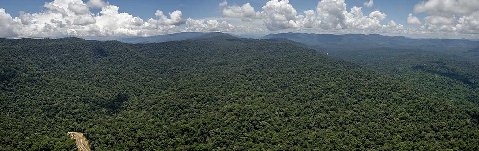 Maliau Basin Aerial Shot