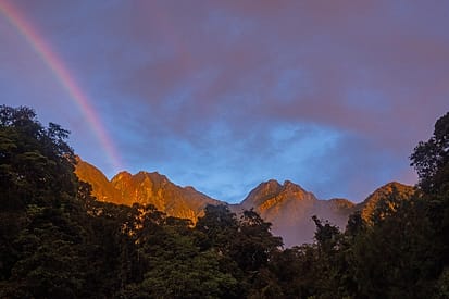 A weekend of learning birds at Sayap Substation