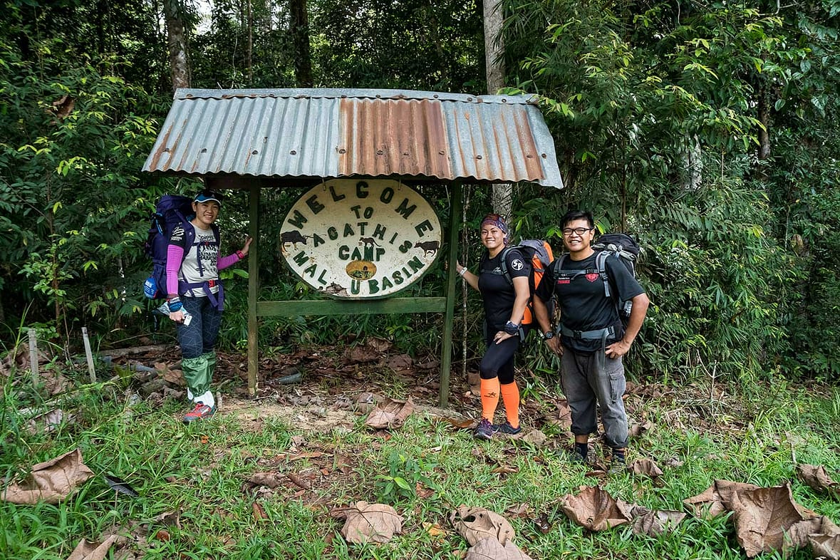 Magnificent Maliau Agathis Camp