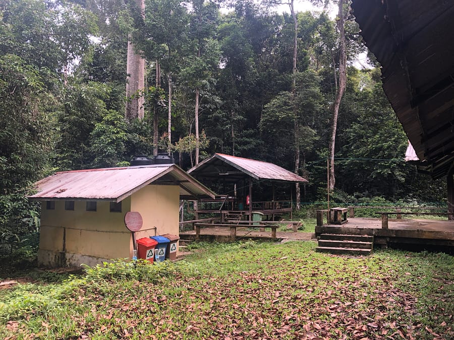 danum valley camp site